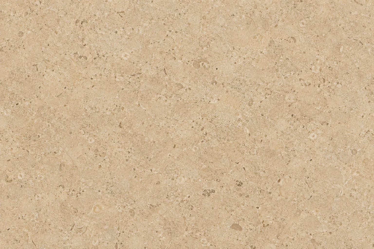 Warm beige limestone surface with mineral markings